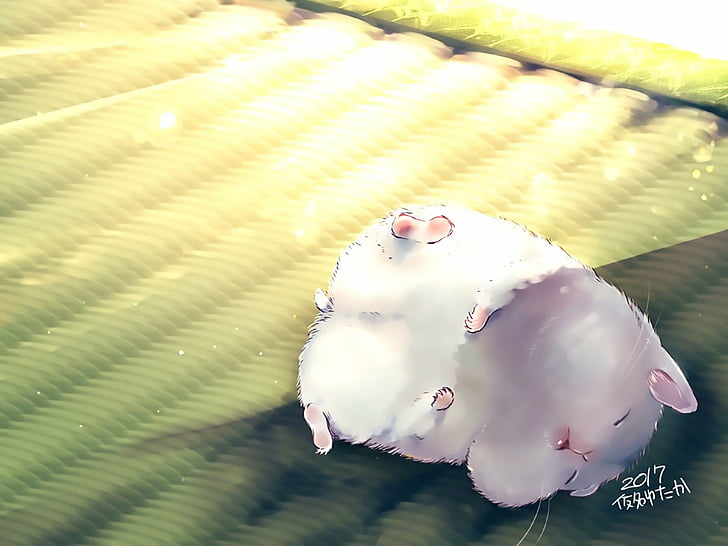 Anime, Original, Cute, Hamster, Shadow, Sunlight, HD wallpaper