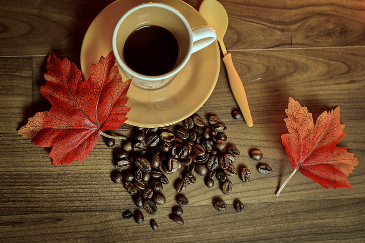 autumn, coffee, Cup, book, leaves, beans