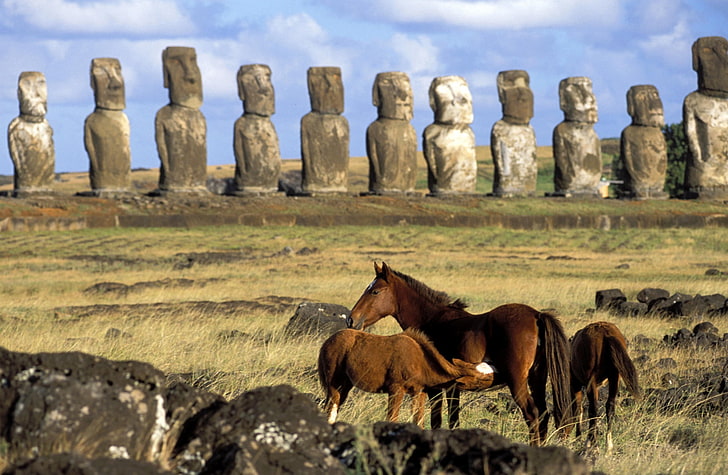 Horses Of Easter Island Chile, two brown horses, Animals, animal themes