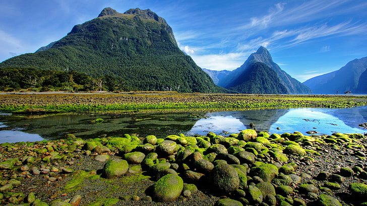 mossy, milford sound, bank, stone, landscape, fjord, national park, HD wallpaper