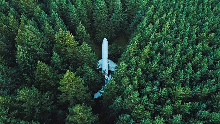 white passenger plane surrounded by green trees, white passenger plane surrounded by green trees