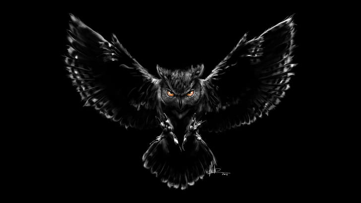 Black owl 1080P, 2K, 4K, 5K HD wallpapers free download | Wallpaper Flare