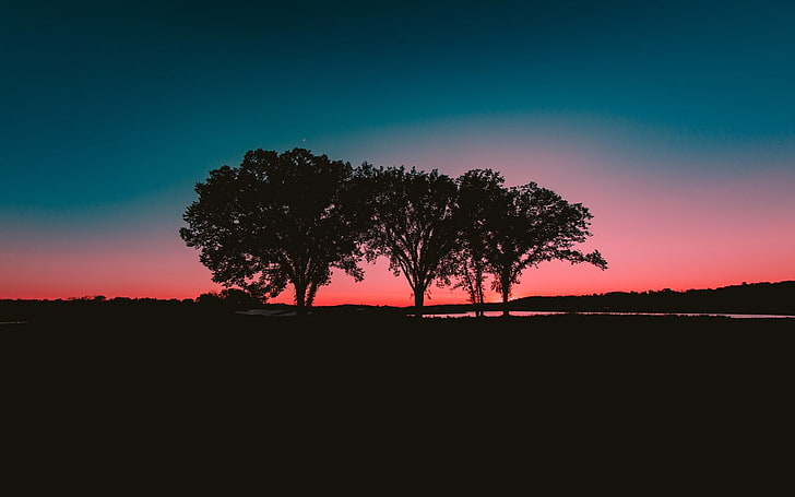 three silhouette of trees, dark, landscape, sky, sunlight, tranquil scene, HD wallpaper