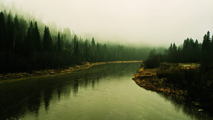 forest, trees, river, lake, fall, water, nature, mist, HD wallpaper