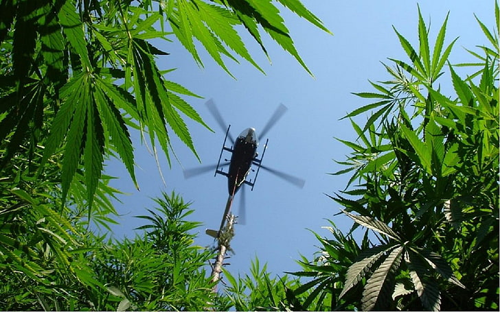 420, ganja, helicopter, marijuana, weed, HD wallpaper