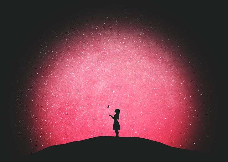HD wallpaper: lonely girl, pink sky, stars, night, butterfly, Landscape |  Wallpaper Flare
