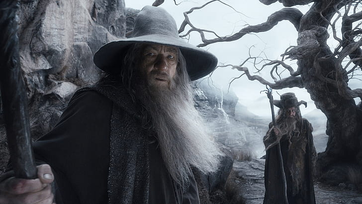 The Lord of the Rings The Hobbit Gandalf Wizard Ian McKellen Beard HD, HD wallpaper