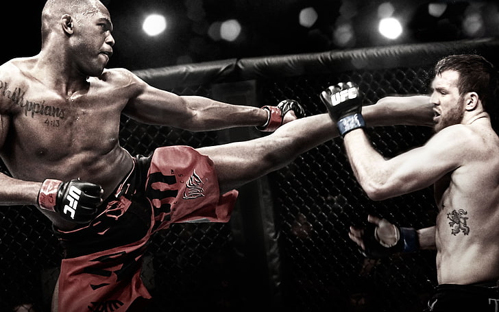 mixed martial arts wallpaper, darth, fighters, champion, fights without rules, HD wallpaper