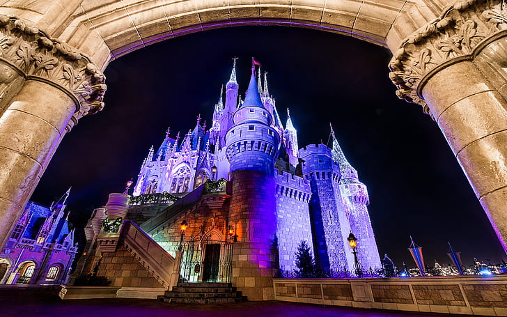 Disneyland Castle Night Purple Amusement Park Arch HD, architecture