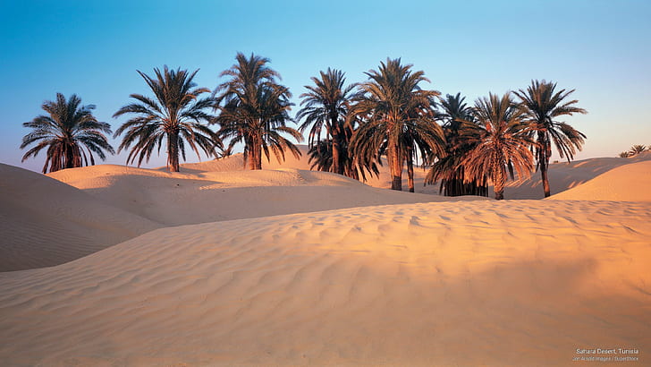 Sahara Desert, Tunisia, Africa