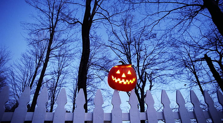 halloween, holiday, pumpkin, fence, trees, sky, HD wallpaper