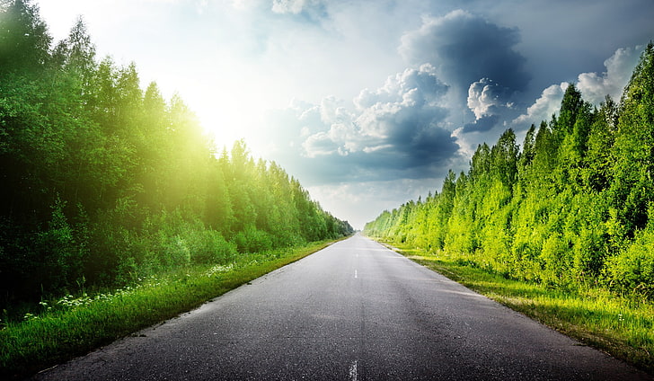 gray asphalt road, long road, plant, tree, sky, cloud - sky, the way forward, HD wallpaper
