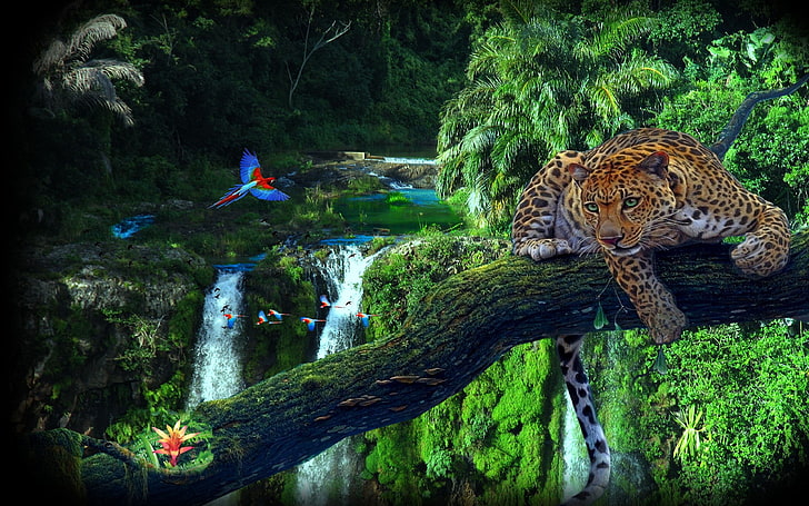Amazon Jungle Tree Leopard Parrots Wallpaper Hd 3840×2400, plant