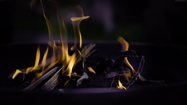 fire, flame, macro, bonfire, 4k pics, ultra hd