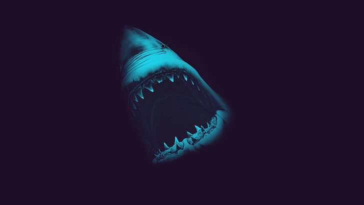 HD wallpaper: great white shark, animals, attack, sea life, one animal,  studio shot | Wallpaper Flare