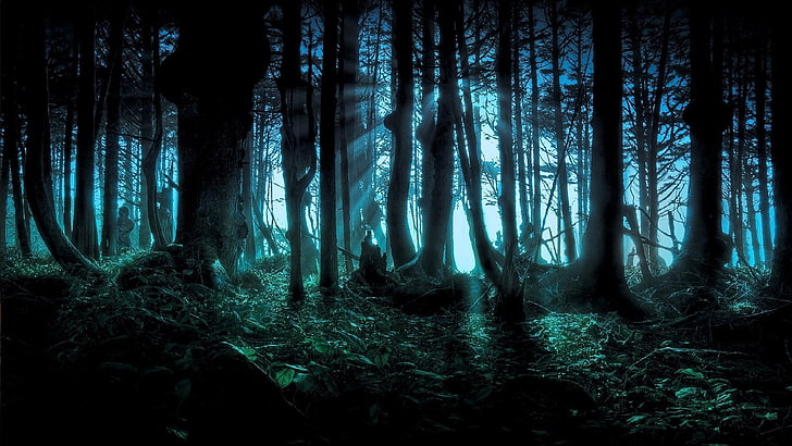 spooky, sun shine through, sunray, darkness, forest, nature, HD wallpaper