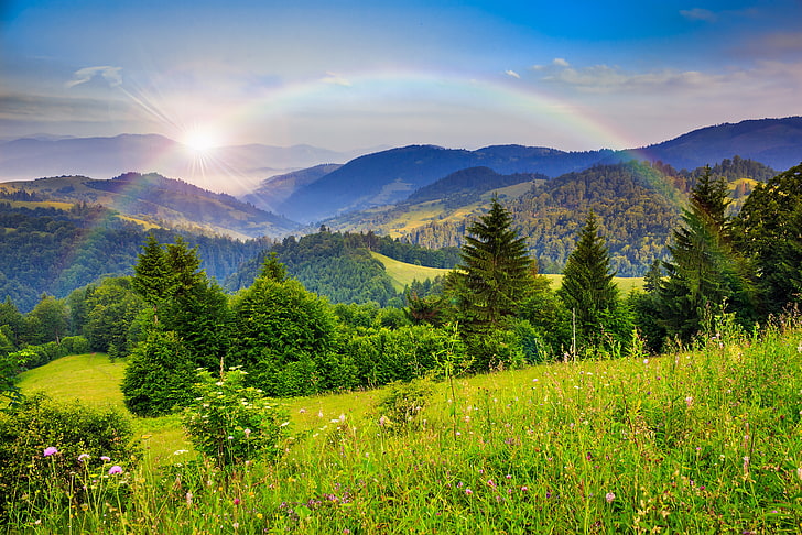green grass field, forest, trees, mountains, nature, rainbow