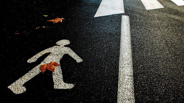 pedestrian lane, leaves, humor, road, sign, human representation, HD wallpaper