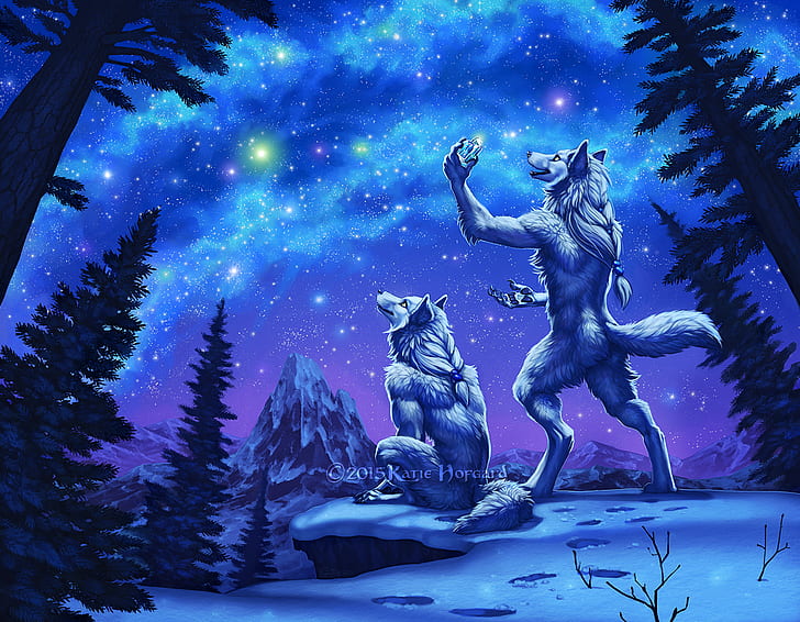 furry, Anthro, artic wolf, cyan, stars, snow, blue, HD wallpaper