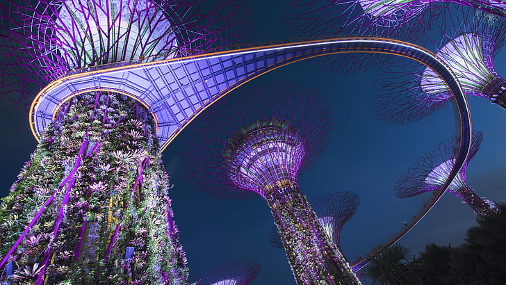 Singapore, bridge, tree, plant, architecture, low angle view, HD wallpaper