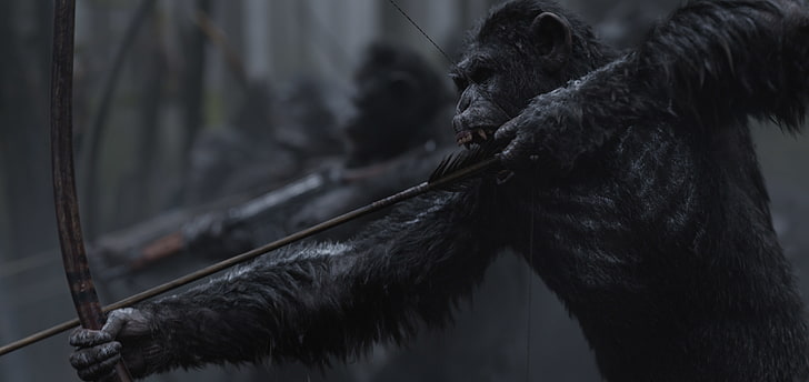 4K, War for the Planet of the Apes, Caesar, animal themes, one animal, HD wallpaper