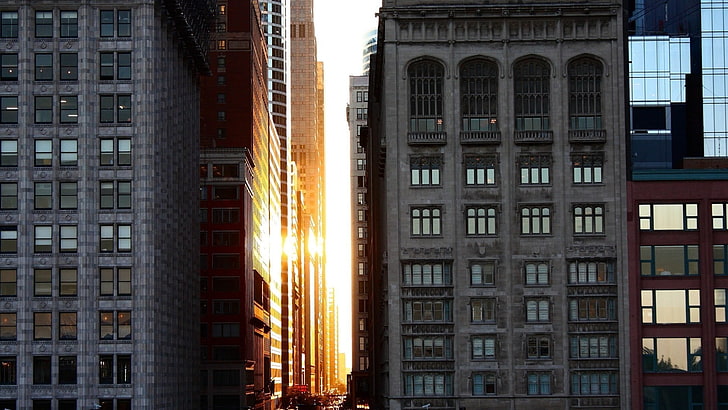 gray concrete high-rise building, Chicago, Sun, architecture