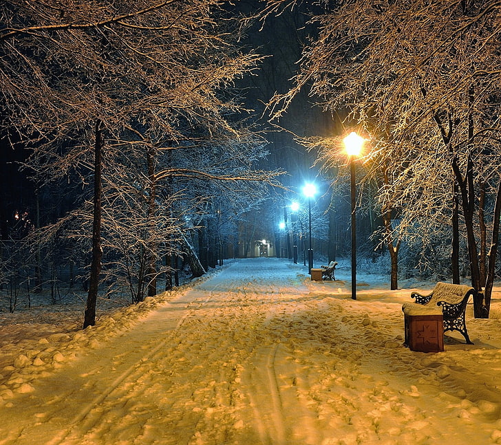 black metal bench, winter, snow, night, street light, path, trees
