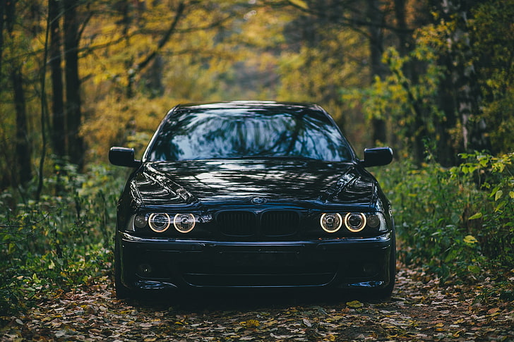 black BMW E46 M3, machine, autumn, forest, car, E39, M5, tree HD wallpaper