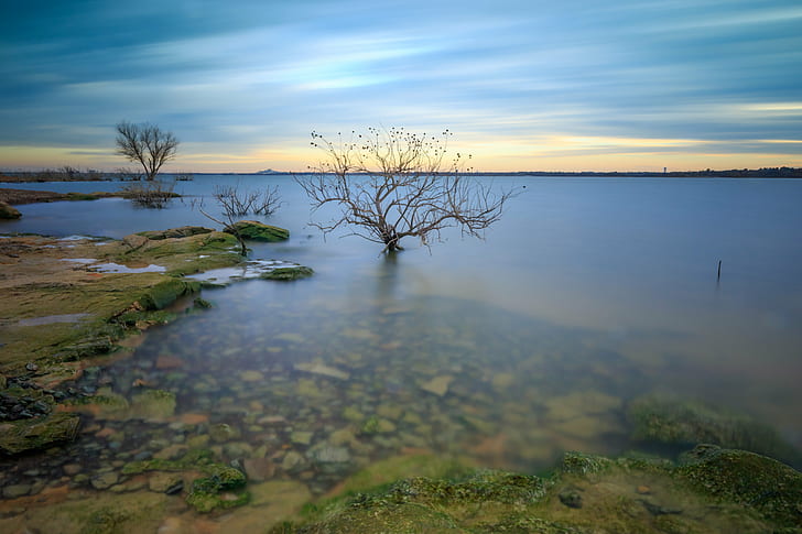 bare tree in body of water under cloudy sky, lake grapevine, lake grapevine, HD wallpaper