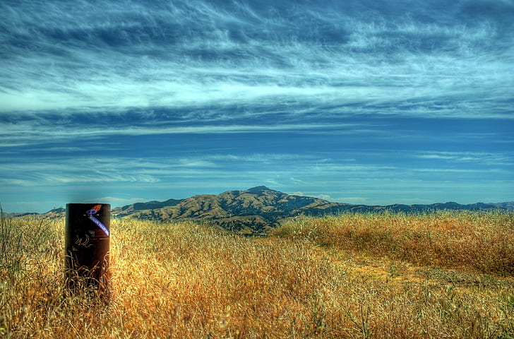 brown grass field landscape photo, mount diablo, mount diablo, HD wallpaper