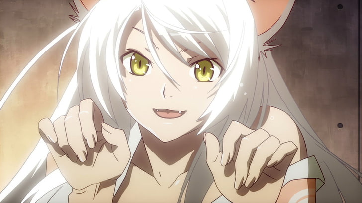 white haired girl anime character, Monogatari (Series), Animal Ears, HD wallpaper