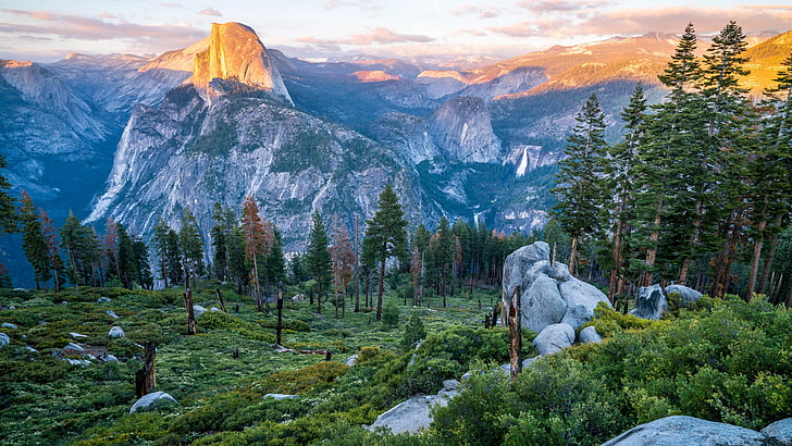 yosemite valley, view, panorama, view point, forest, landscape