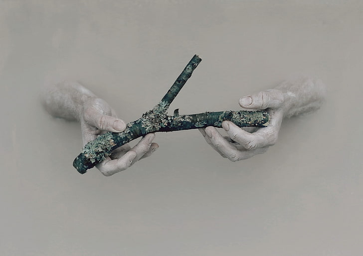 artwork, hands, branch, indoors, studio shot, close-up, smoke - physical structure