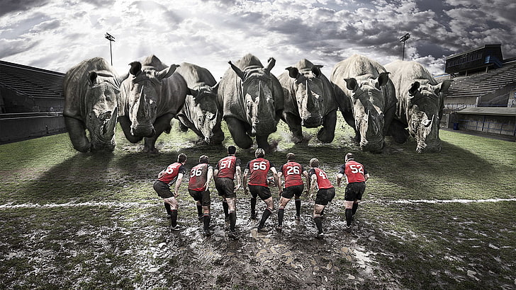 seven rhinos, rugby, team, dirt, field, sport, competition, competitive Sport