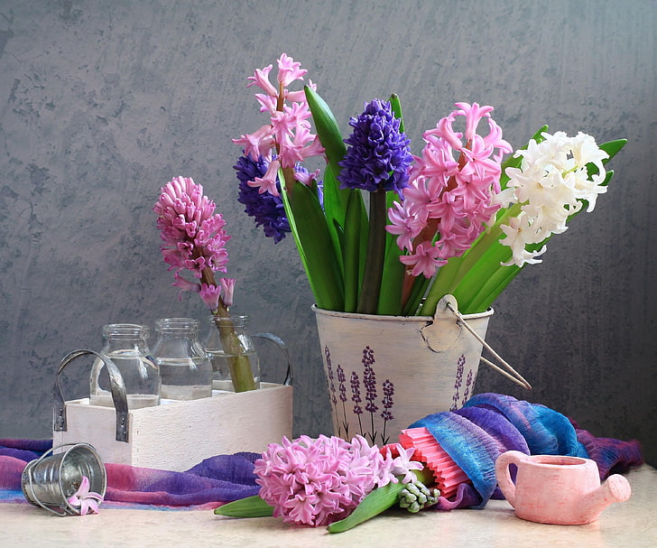 assorted flowers, hyacinths, spring, bucket, bottle, watering can