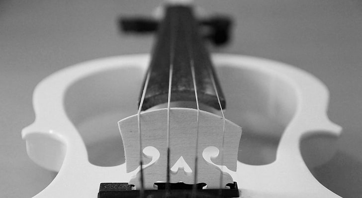HD wallpaper: Black White Violin, silent violin, Black and White, Music,  Monochrome | Wallpaper Flare