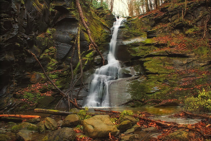 waterfalls in forest, Slateford, Creek, Revisited, Pennsylvania