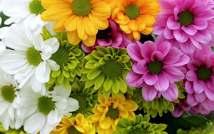 Flower arrangement 1080P, 2K, 4K, 5K HD wallpapers free download | Wallpaper  Flare