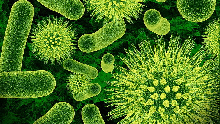 Bacteria, Biology, closeup, Green, Microscopic, nature, science, HD wallpaper