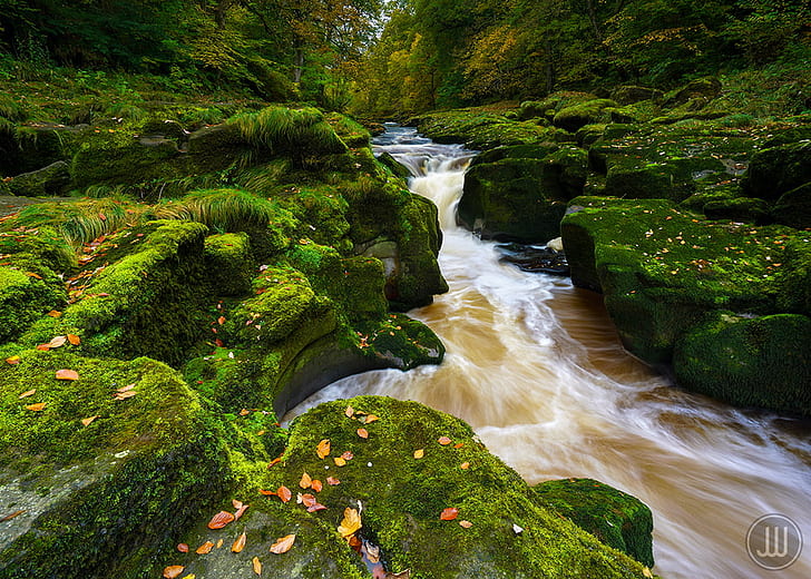 river between green grass coated rocks during daytime, Strid