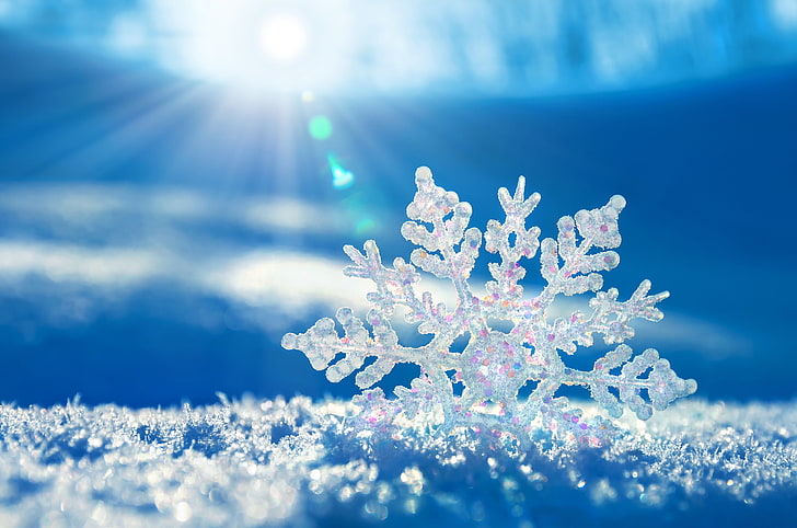 selective focus photography of snow flakes, snowflake, winter, HD wallpaper