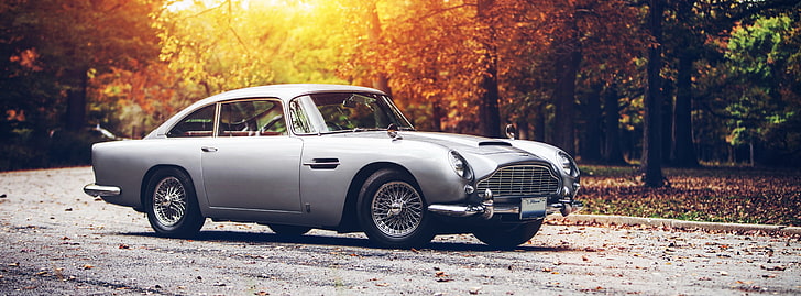 Aston Martin DB-5, silver coupe, Motors, Classic Cars, Autumn