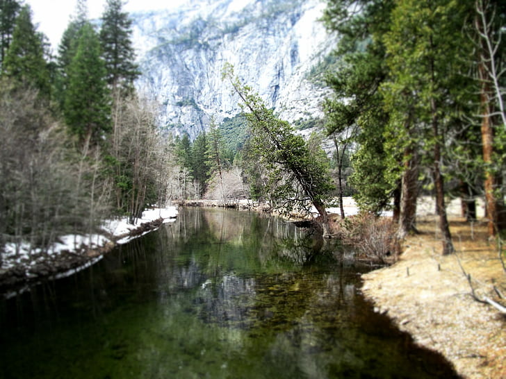 landscape, California, Yosemite National Park