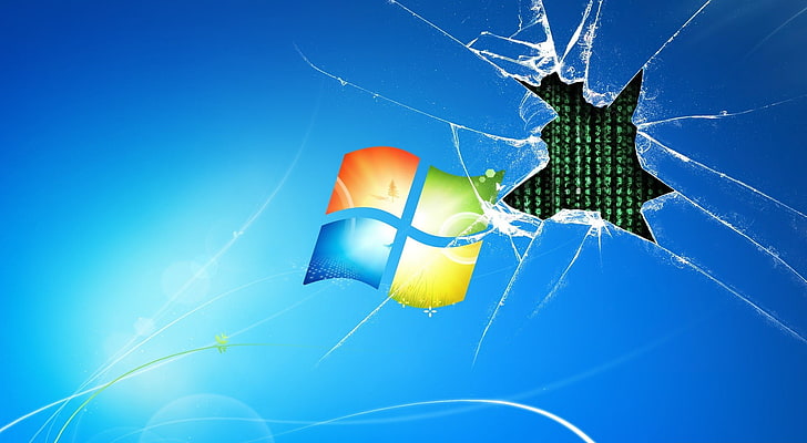 HD wallpaper: Microsoft logo, Windows 7, blue, invertebrate, nature,  close-up | Wallpaper Flare