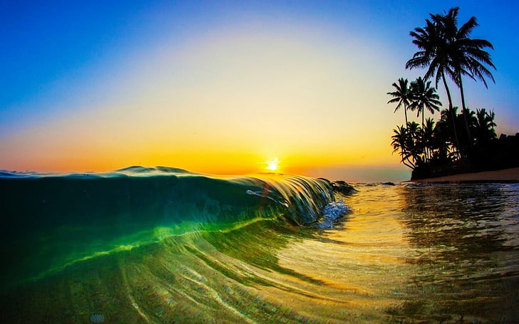 sea wave, nature, landscape, sunlight, morning, beach, waves, HD wallpaper