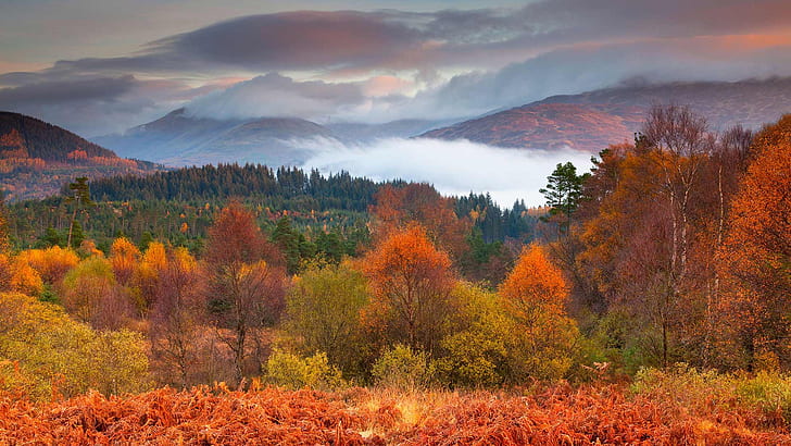 autumn, trees, mountains, Scotland, National Park Loch Lomond and the Trossachs