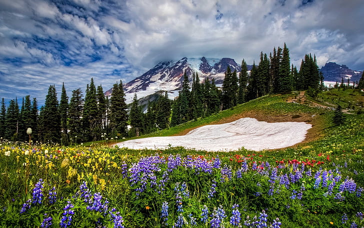 Early Spring flowers water clouds mountains HD wallpaper  Peakpx