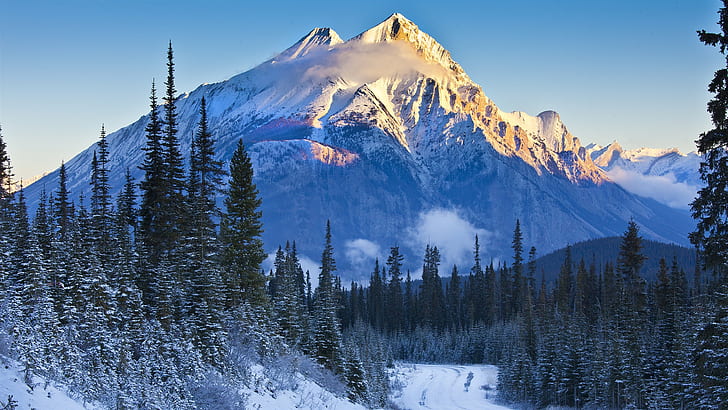 Banff National Park, Alberta, Canada, mountains, trees, snow, spruce, mount everest photograph, HD wallpaper
