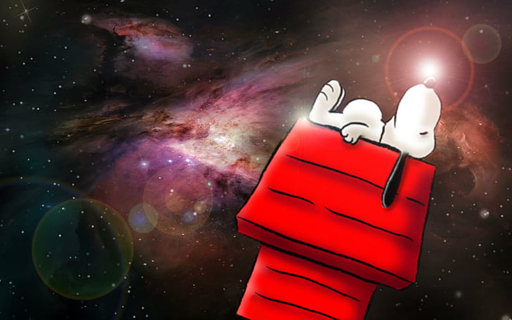 Space Time Thought...42!, comic, cartoon, snoopy, peanuts, charlie brown, HD wallpaper