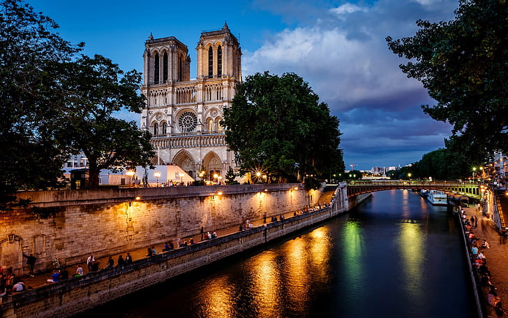 Paris, France, Notre Dame de Paris, city, night, bridge, river, lights